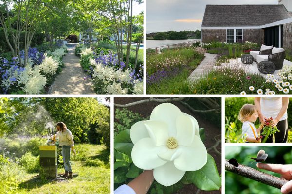 How to Plant for Pollinators: Planning a Biodiverse Garden for 2021
